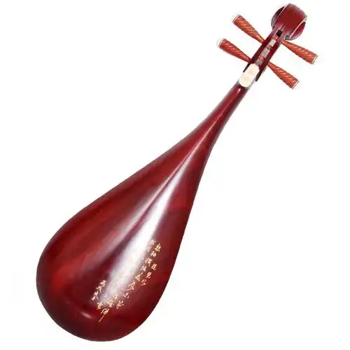 琵琶梵巢中国民族弹拨乐器成人专业考级演奏琵琶