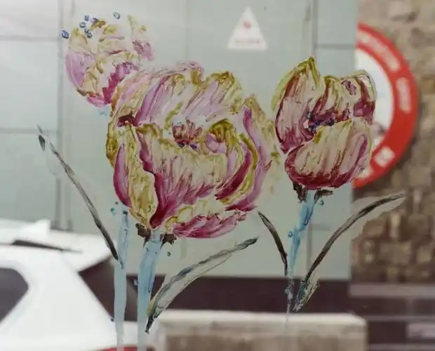 这名青岛女研究生司机火了 玻璃上画画惊呆乘客