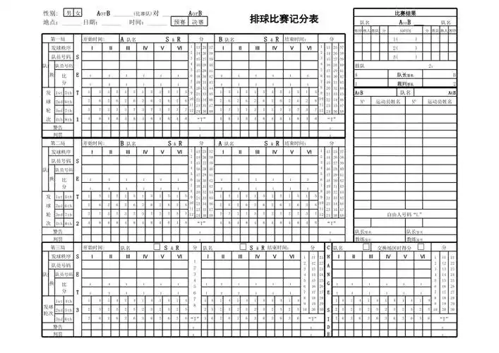 排球比赛记录表标准版xls
