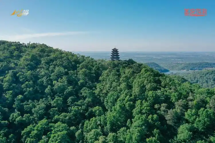 向着山林奔跑! 2024南京老山越野赛活力起跑