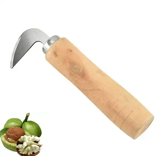 厂家直销不锈钢青皮核桃刀核桃刀弯刀果蔬开核刀家用厨房工具