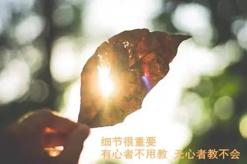 细节很重要有心者不用教无心者教不会图片朋友圈背景图带字下载v10