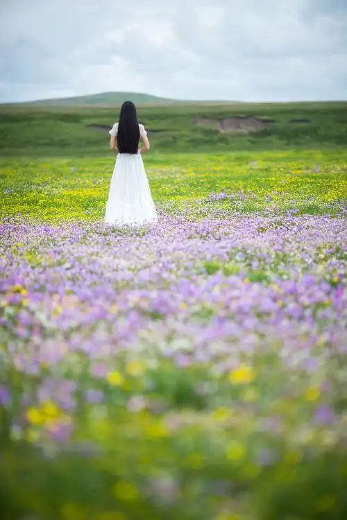 【那一片花海摄影图片】川西高原人像摄影_东边云唯美意境_太平洋电脑