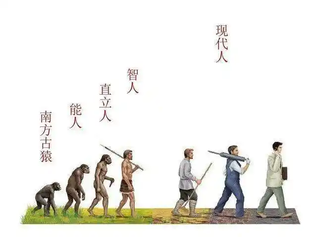人类由类人猿进化而来现在也有类人猿他们会变成人吗