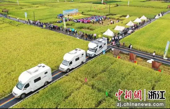 闻着稻香来露营 浙江磐安方前举办特色活动"靠粮致富"