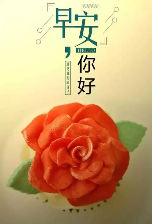 早安心语简单一句话积极阳光图片唯美早安说说励志正能量语录