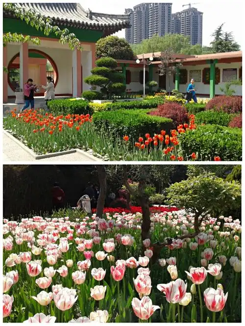 游安阳人民公园