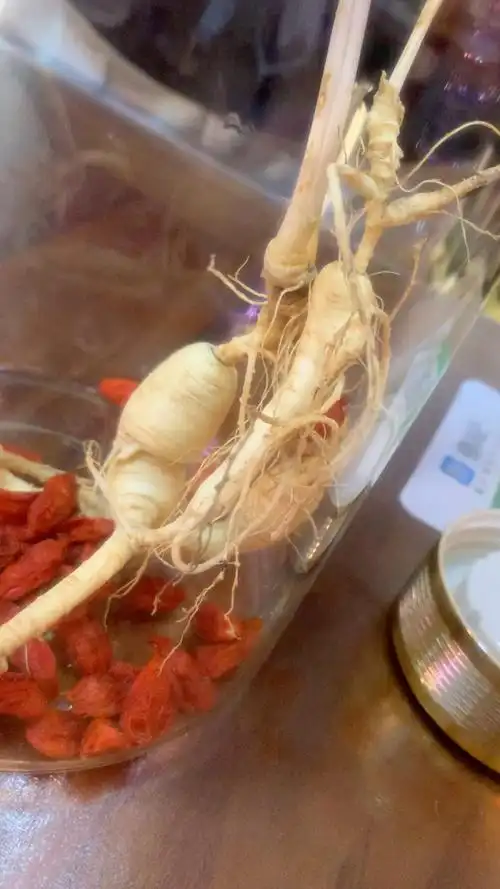 林下参泡酒  人参泡酒