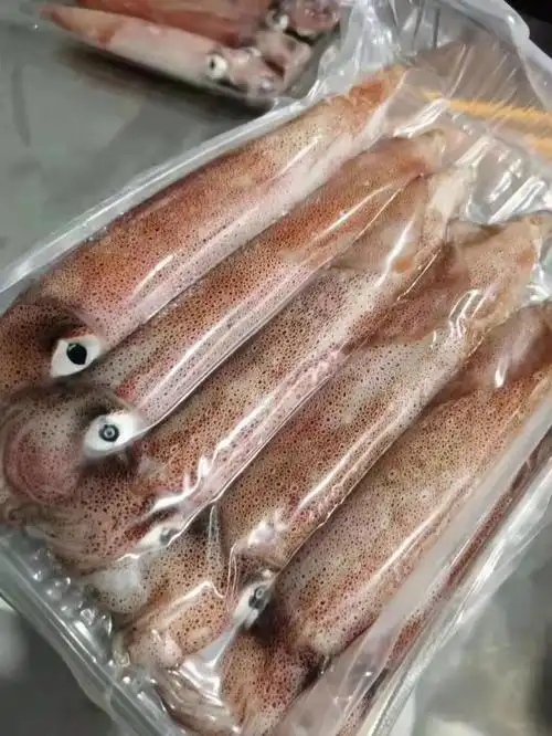 鱿鱼新鲜广东特产海钓大管冰鲜冷冻脆筒厚肉冷冻鱿鱼