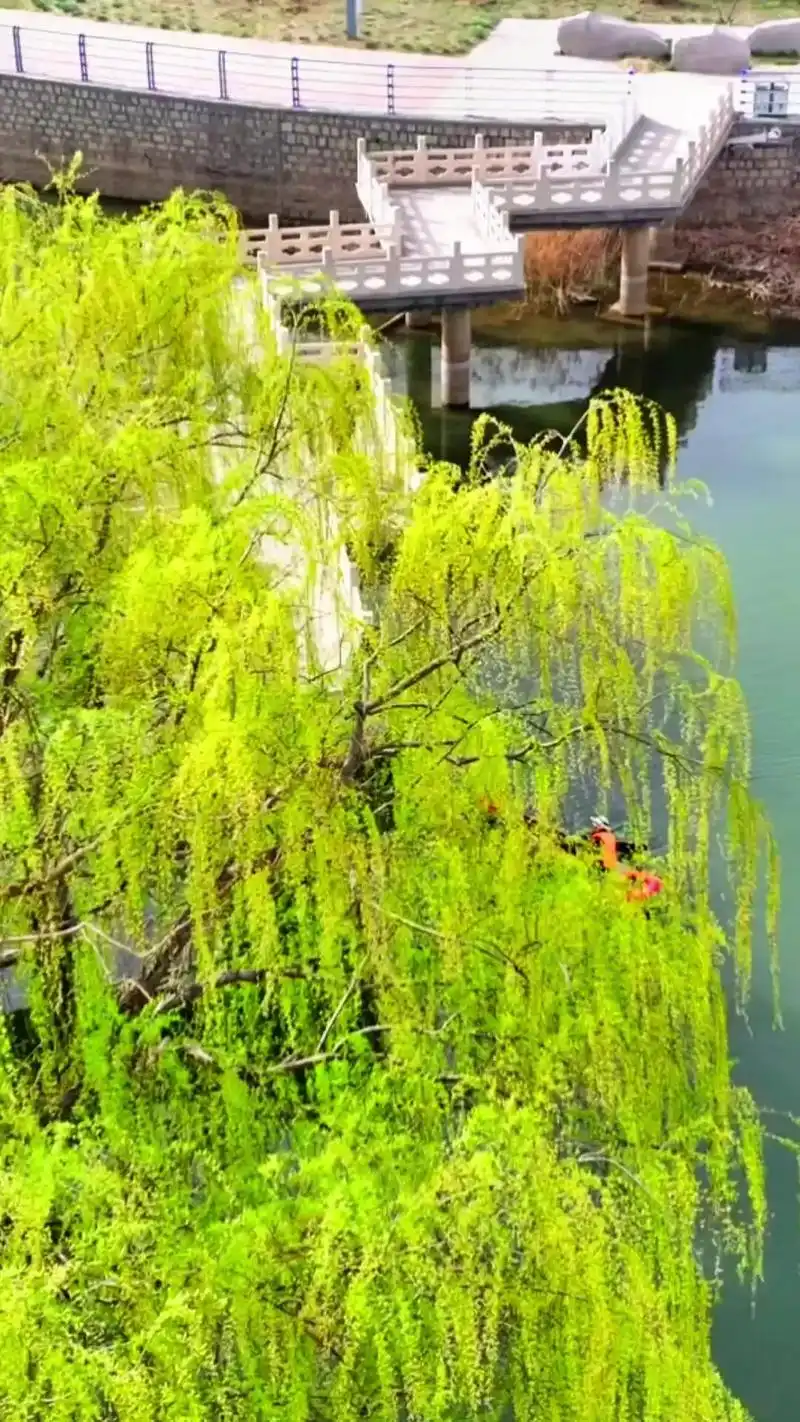 淄川体育公园的水系景观.年年岁岁景相似,#随拍 #原创视频 - 抖音