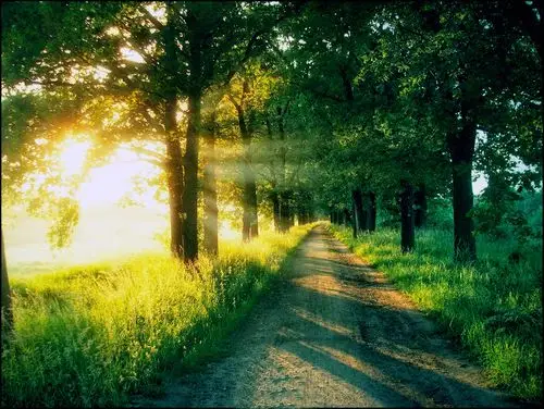 风景色调 - lightroom摄影photoshop后期