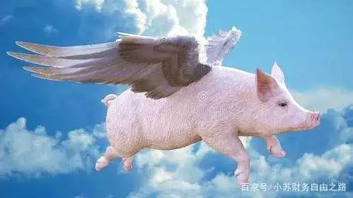 "天上飞"的猪肉价