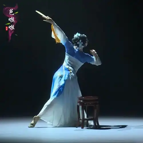 古典舞演出服《锦瑟》同款桃李杯表演服京剧飘逸练功艺考舞蹈服女