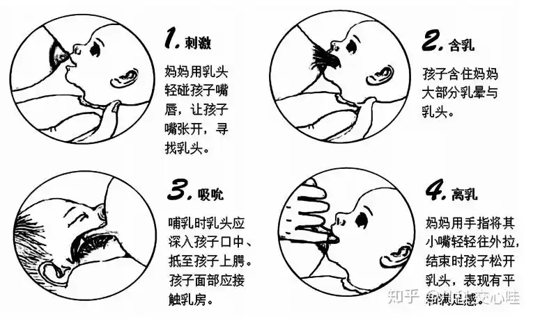 母乳喂养,你做对了吗?