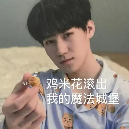 张真源表情包合集