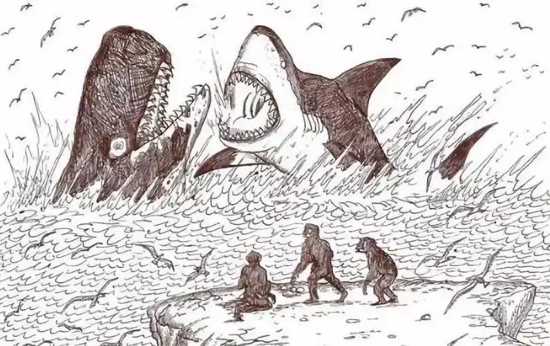 电影里令人胆寒的巨齿鲨:真是水里最凶猛的动物吗?