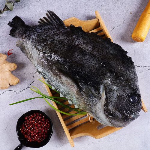 沃喜乐冷冻海鲜鱼类北极海参斑新鲜海鱼斑鱼4斤左右