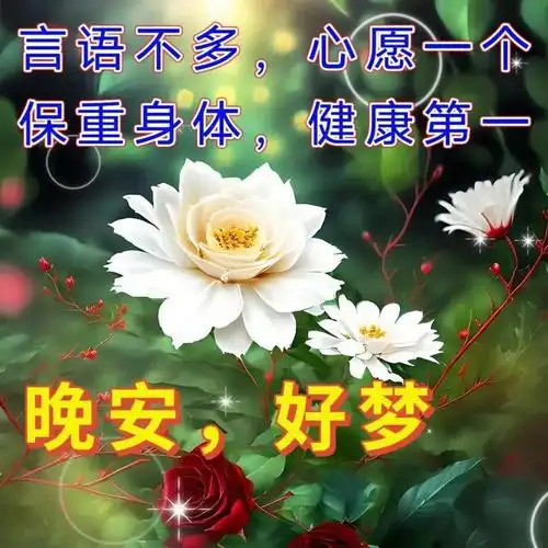 下午好图片大全,下午好祝福,下午好问候|快乐|甜蜜|幸福_网易订阅