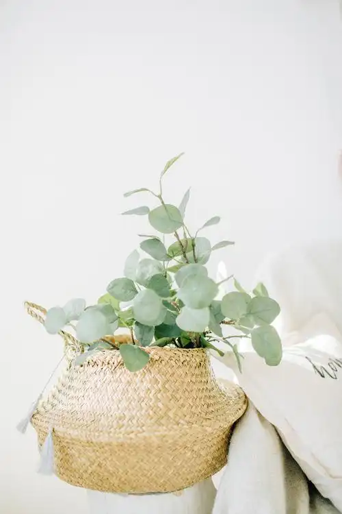 时尚小清新素材-时尚小清新图片-时尚小清新素材图片下载-第7页-觅知