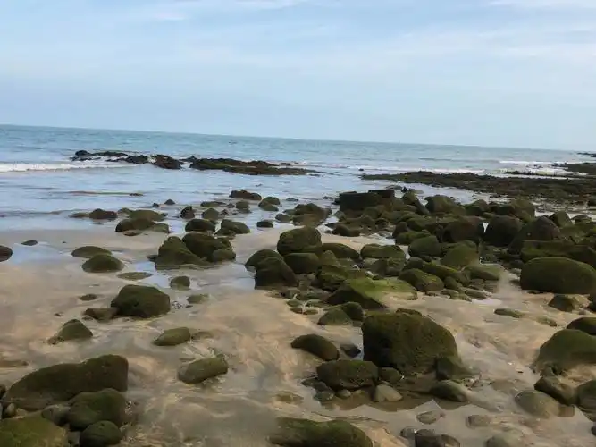 在硇洲岛骑小电炉赶海吹海风