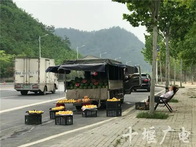 水果大篷车发展大道上摆摊叫卖,谁来管?