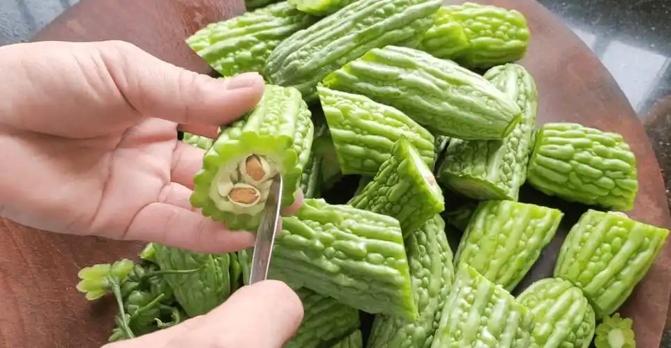 多吃这种苦味菜,去暑强免疫,稳三高_草酸_影响_食物