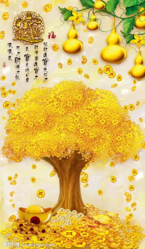 招财树图片大全大图:发财树与招财树图片发财树喜散射光,放室内明亮