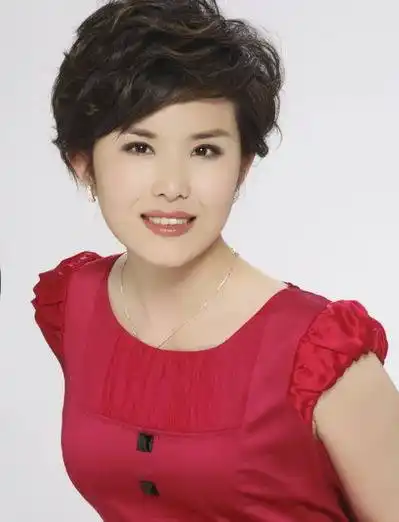 王宁图片 央视主持人王宁图片