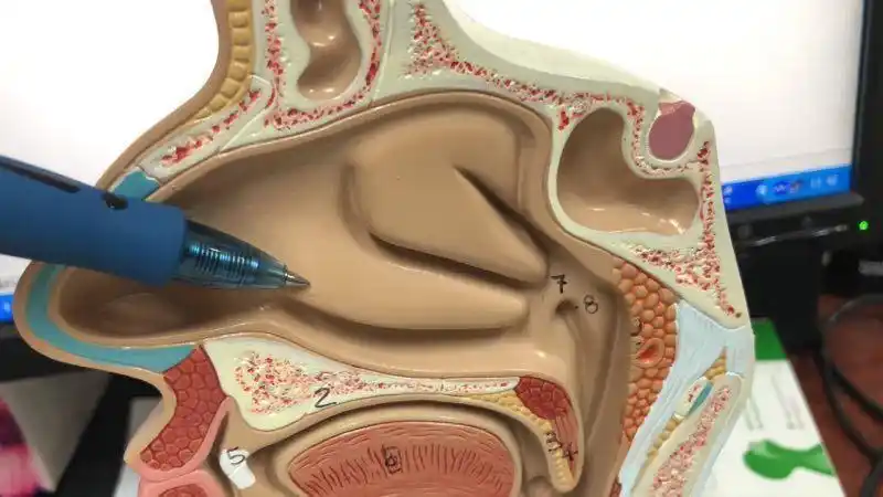 浙江男子鼻孔喷血一脸盆护士惊呆喷泉啊