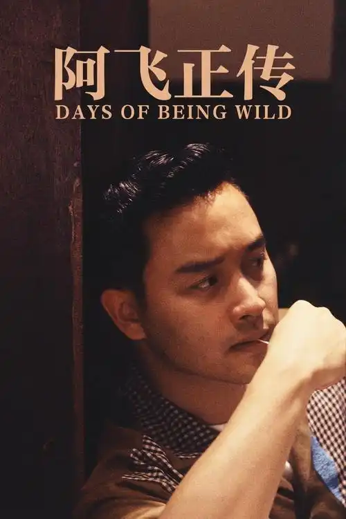 猫眼短评阿飞正传