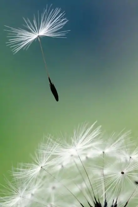 用一塌糊涂造句 一塌糊涂的近义词和同义词 一塌糊涂的意思和读音