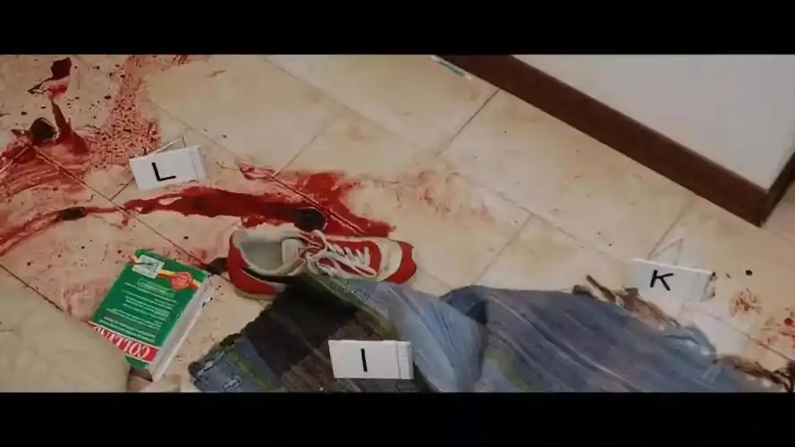 当室友被残忍杀害后,她却搂着男友在凶案现场做鬼脸?