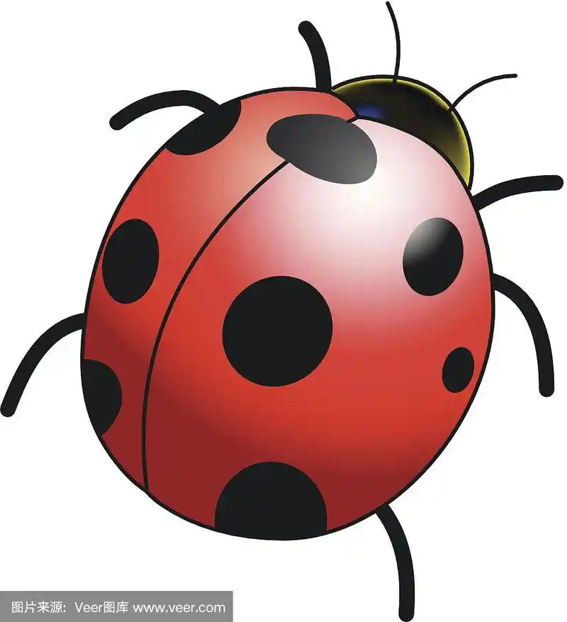 瓢虫,无人,昆虫,矢量,红色
