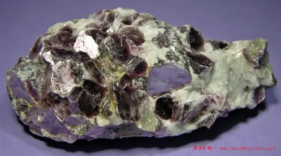 矿物图片锂云母lepidolite
