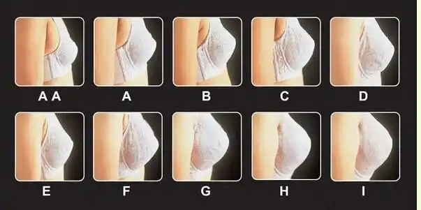 c罩杯有多大侧面图