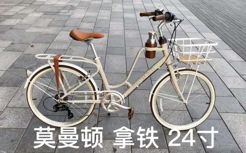 捷安特 莫曼顿24寸 车型介绍!