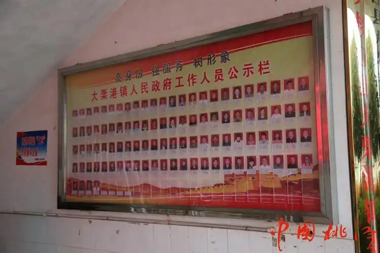 筑梦新桃江大栗港优化营商环境打造竹韵茶香生态镇