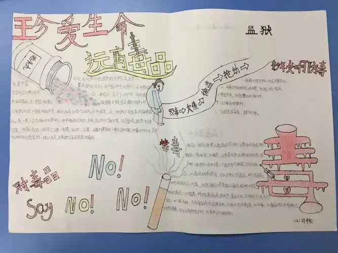 怎样才能远离毒品?这些同学的手抄报给你答案