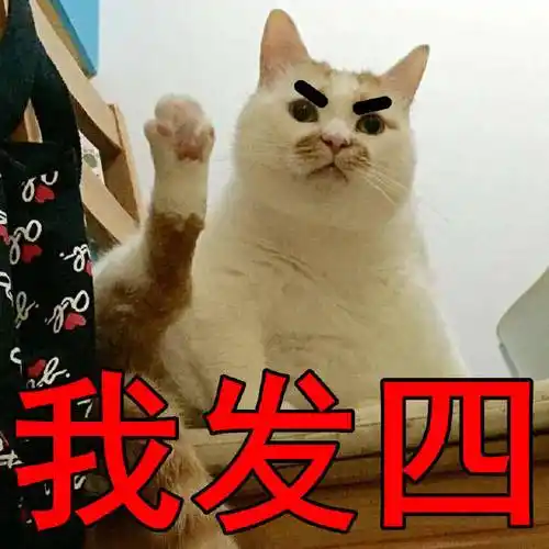 萌宠喵星人我发誓我保证搞怪逗gif动图_动态图_表情包下载_soogif