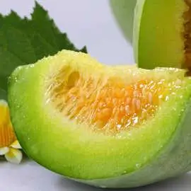 【绿哈密瓜】-绿哈密瓜厂家,品牌,图片,热帖-阿里巴巴