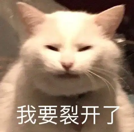 我要裂开了_我要_裂开表情