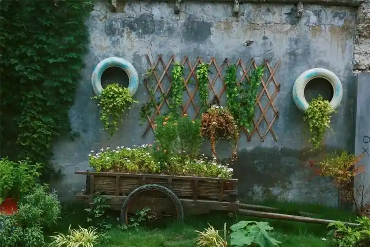 池州乡村庭院改造创意大赛火热报名中!