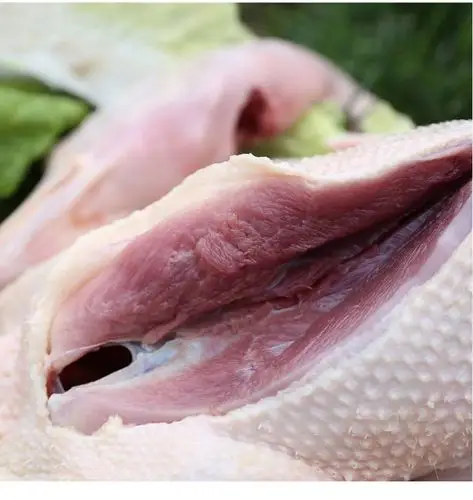 (京东生鲜)鹅肉整只农家散养大白鹅新鲜嫩鹅活体冷冻土鹅食材老笨鹅现