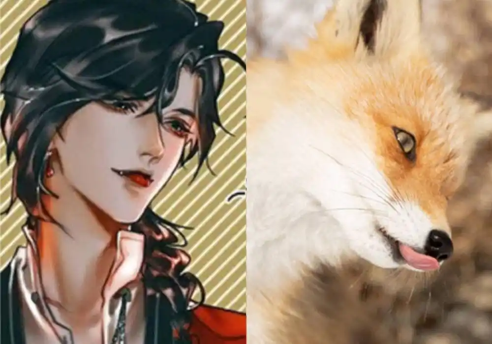 《天官赐福》花城像小狐狸,笑起来好可爱,快点开口喊哥哥!