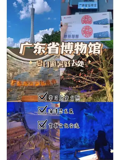 叮咚广东省博物馆最全攻略来啦06