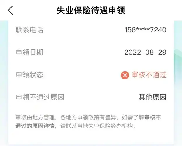 求问为什么审核不通过其他原因是什么呢