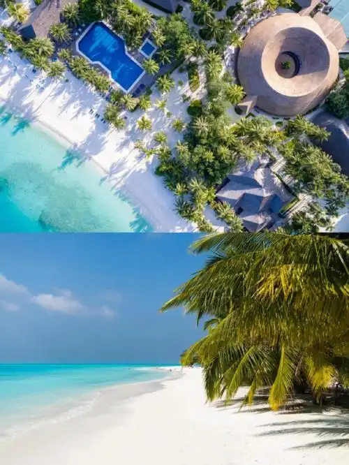 马尔代夫l亲子旅游l蜜月旅游73蜜月岛