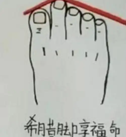 第四种:除大拇指,后四根指头齐长这种脚的形状,也是大拇指最长,但是
