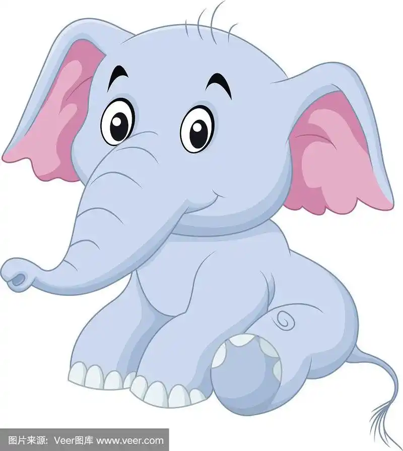 可爱的小象孤立地坐在白色的背景上