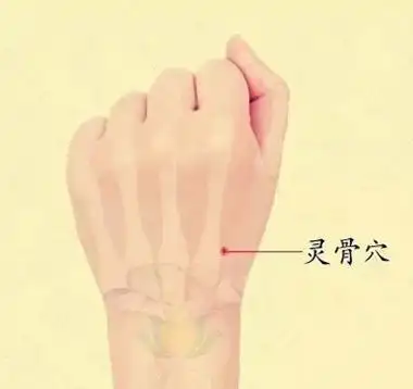 来自:>中医缘的图书馆>《闭经>1,灵骨穴定位及取